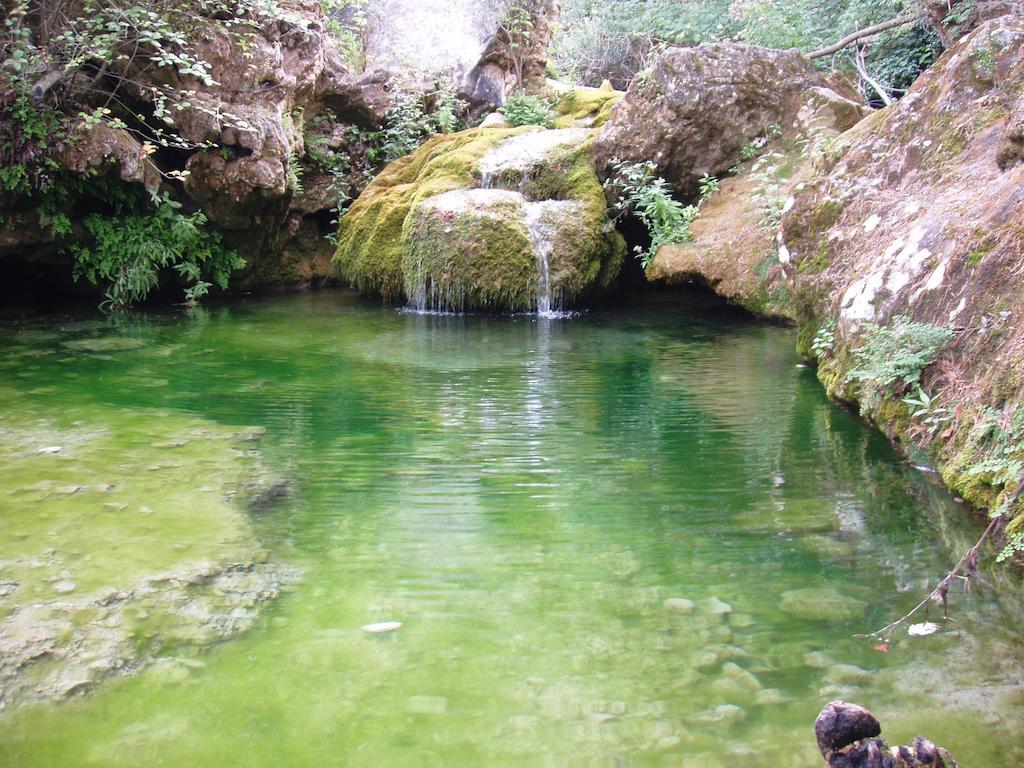Rojals Mas De L'Arlequi旅馆 外观 照片